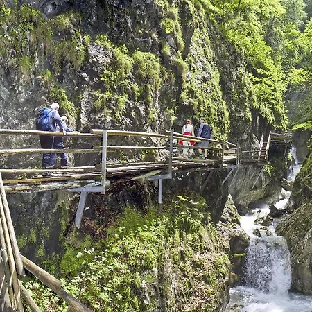 Seminar- & Freunde Der